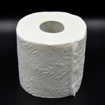 toilet paper, hygiene, loo-4954879.jpg